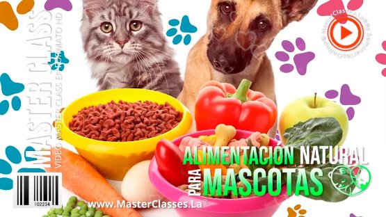 alimentacion-digital-perros-y-gatos