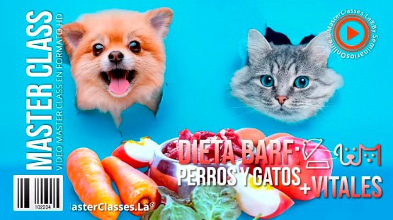 dieta-barf